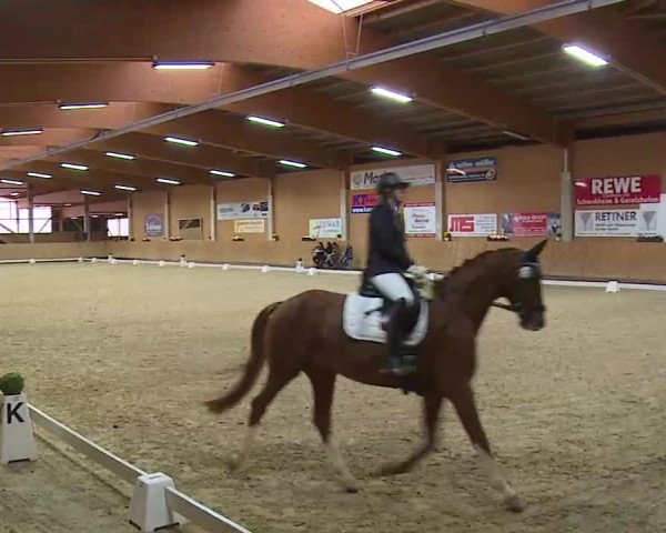 Reitturnier Grafenrheinfeld/Ufr. 2021