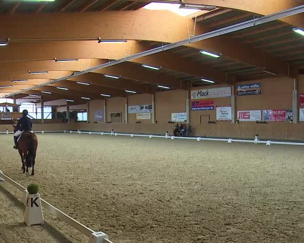 Reitturnier Grafenrheinfeld/Ufr. 2021