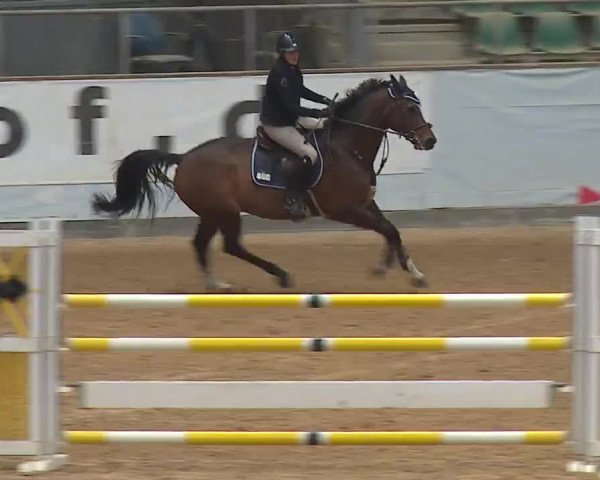 Reitturnier Kreuth 2023
