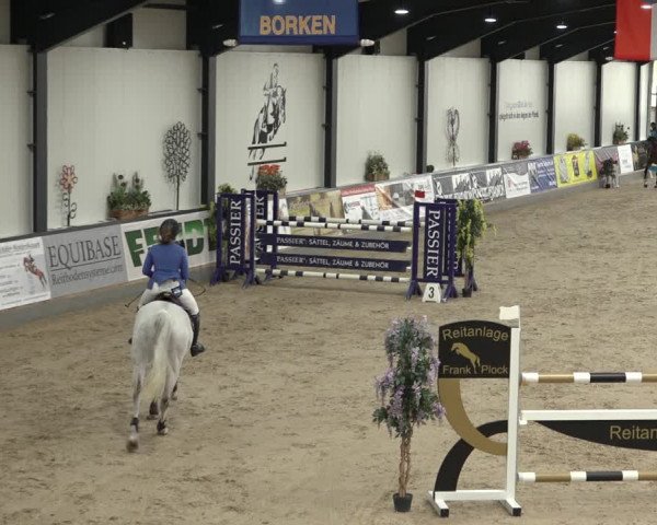 Reitturnier Borken 2023