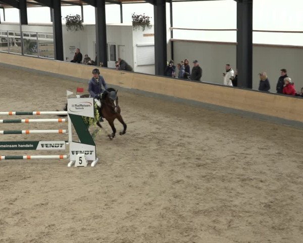 Reitturnier Borken 2023