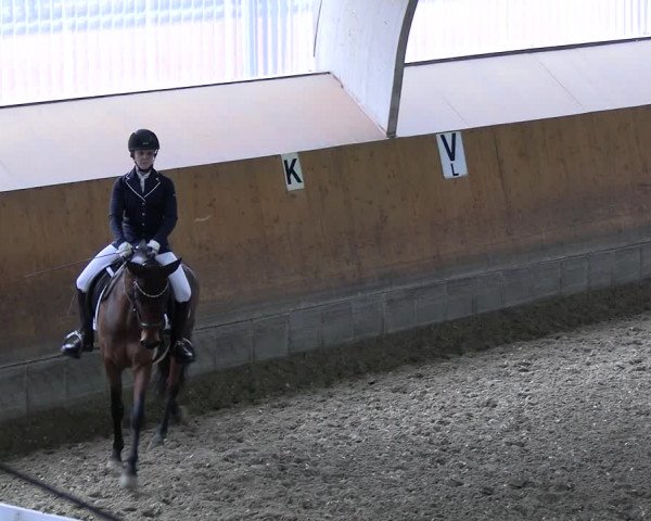 Reitturnier Ratingen 2023