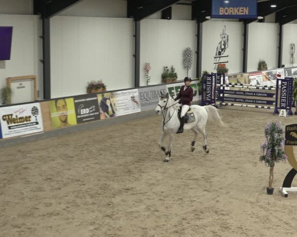 Reitturnier Borken 2023