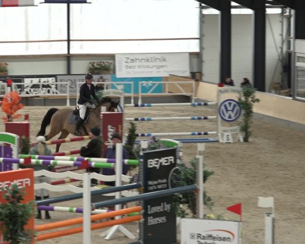 Reitturnier Borken 2023