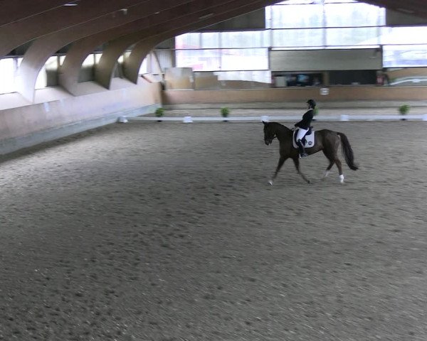 Reitturnier Ratingen 2023