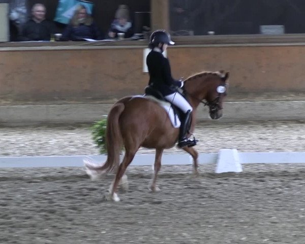 Reitturnier Ratingen 2023