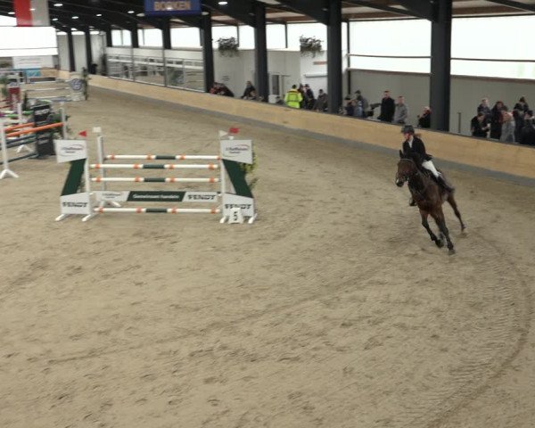 Reitturnier Borken 2023