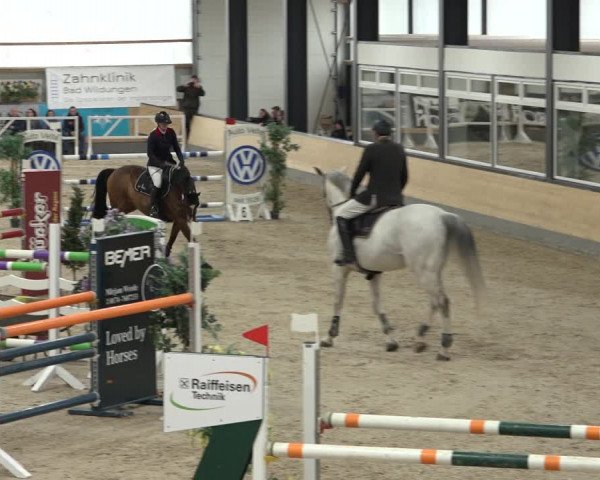 Reitturnier Borken 2023