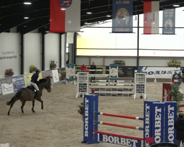 Reitturnier Borken 2023