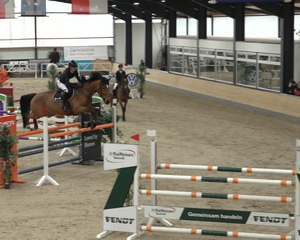 Reitturnier Borken 2023