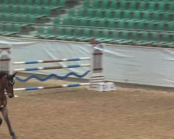 Reitturnier Kreuth 2023