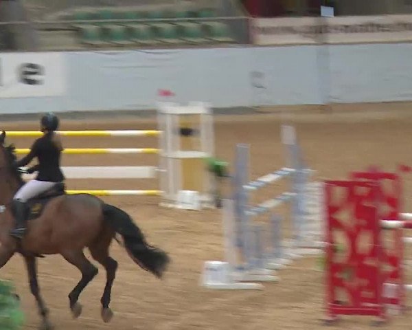 Reitturnier Kreuth 2023
