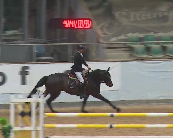 Reitturnier Kreuth 2023