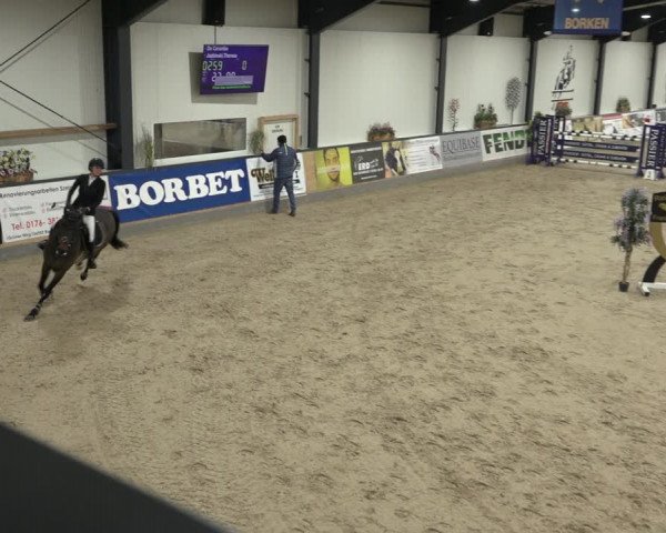 Reitturnier Borken 2023