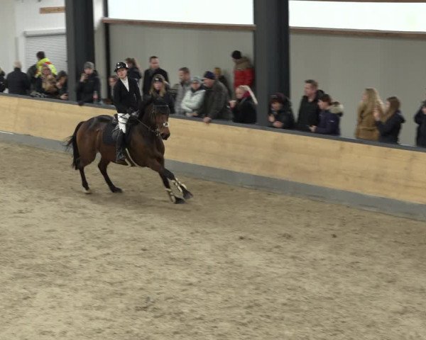 Reitturnier Borken 2023