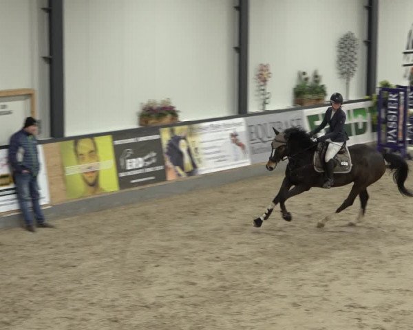 Reitturnier Borken 2023