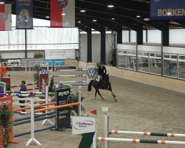 Reitturnier Borken 2023