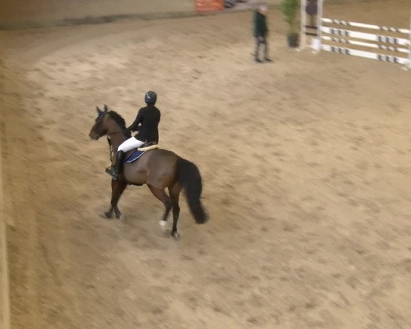 Reitturnier Schaffhausen 2023