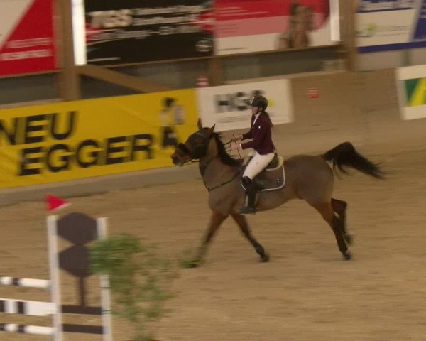 Reitturnier Schaffhausen 2023