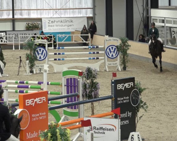 Reitturnier Borken 2023