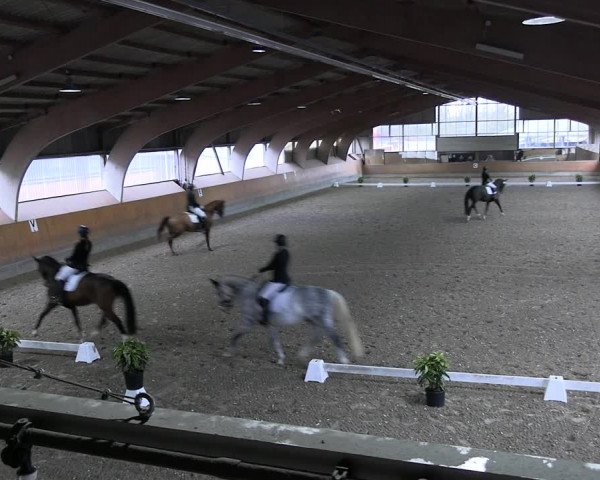 Reitturnier Ratingen 2023