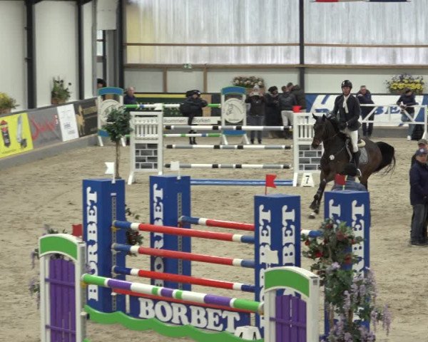 Reitturnier Borken 2023