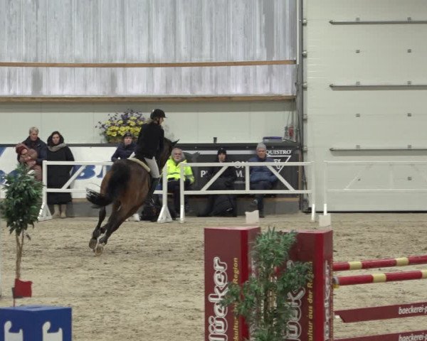 Reitturnier Borken 2023