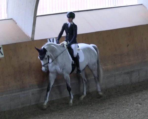 Reitturnier Ratingen 2023