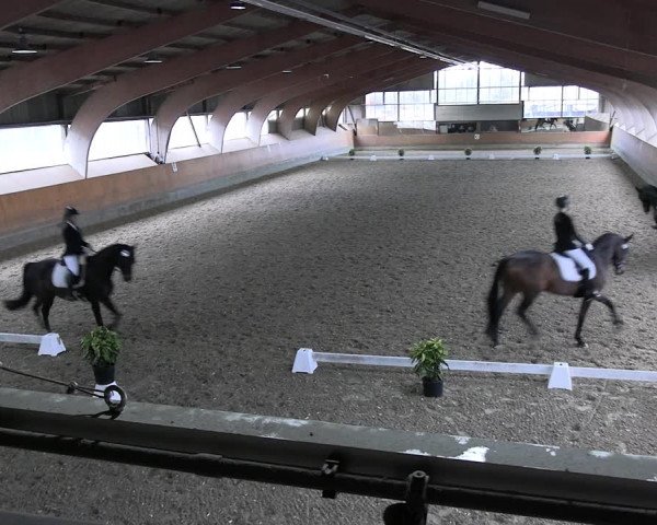 Reitturnier Ratingen 2023