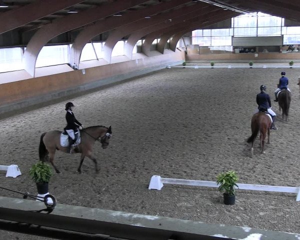 Reitturnier Ratingen 2023