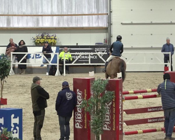 Reitturnier Borken 2023