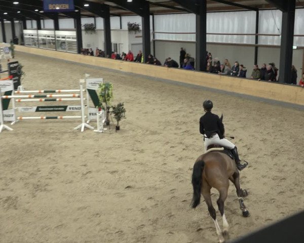Reitturnier Borken 2023