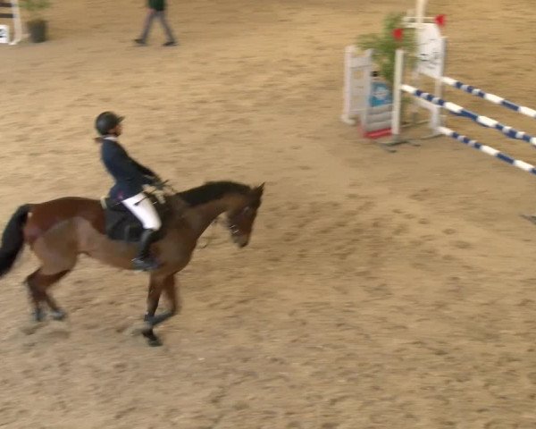 Reitturnier Schaffhausen 2023