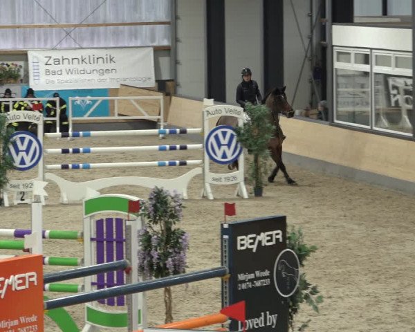 Reitturnier Borken 2023
