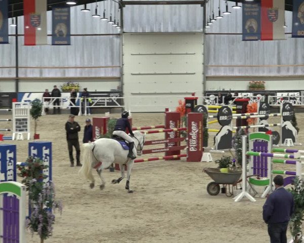 Reitturnier Borken 2023