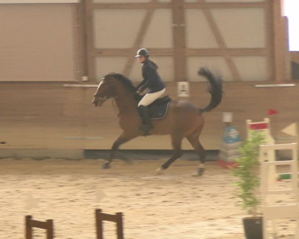Reitturnier Schaffhausen 2023