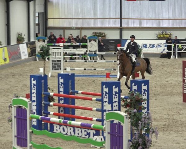 Reitturnier Borken 2023