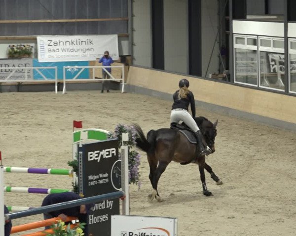 Reitturnier Borken 2023
