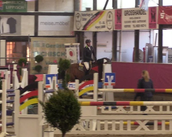 Reitturnier Vlotho-Exter 2023