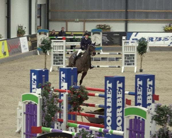 Reitturnier Borken 2023
