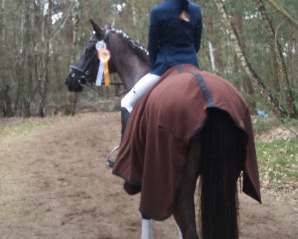 dressage horse Last Löwenstein (Westphalian, 1989, from Loewenstein)