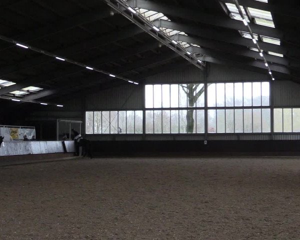 Reitturnier Greven 2023