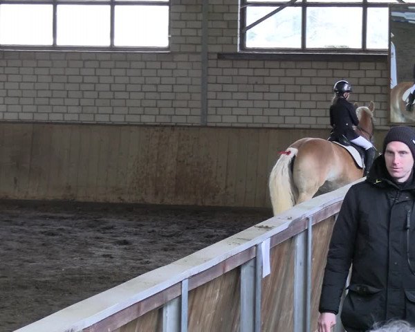 Reitturnier Hildesheim-Marienburg 2023