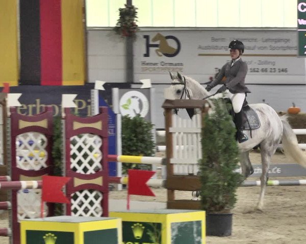 Reitturnier Karlsfeld/Obb. 2021