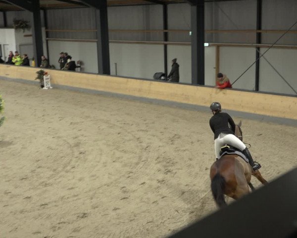 Reitturnier Borken 2023