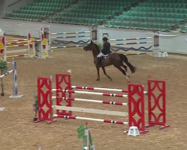 Reitturnier Kreuth 2023