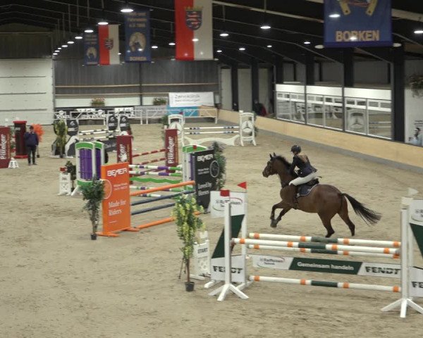 Reitturnier Borken 2023