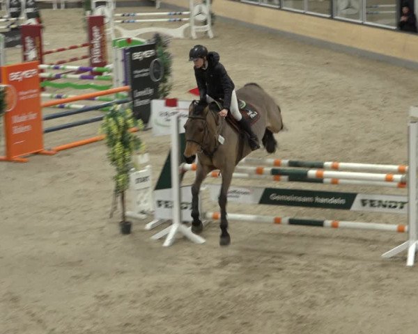 Reitturnier Borken 2023