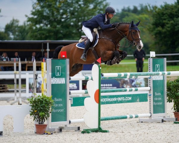 jumper Cajou 16 (Holsteiner, 2012, from Catoo)