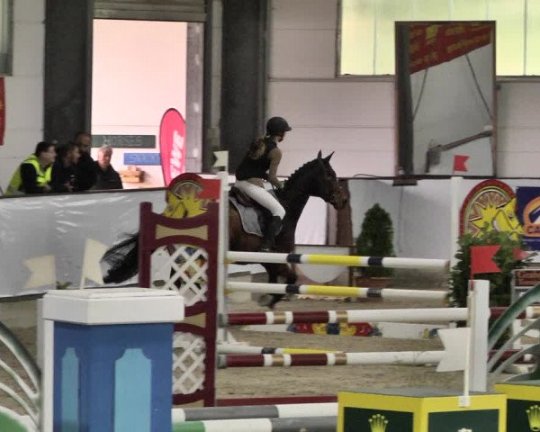 Reitturnier Karlsfeld/Obb. 2021